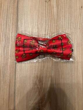Black Tie Geek Dungeons & Dragons Red Dragon & D20 Bow Tie Loot Crate Exclusive